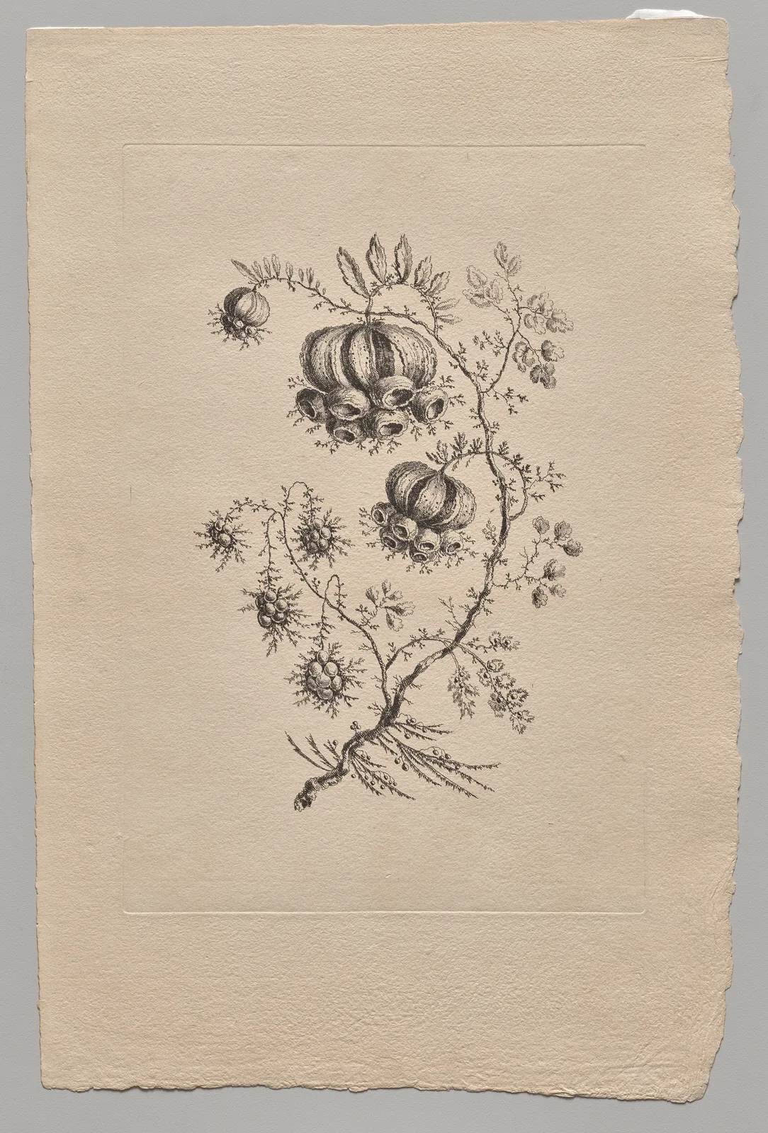 Persian Flowers