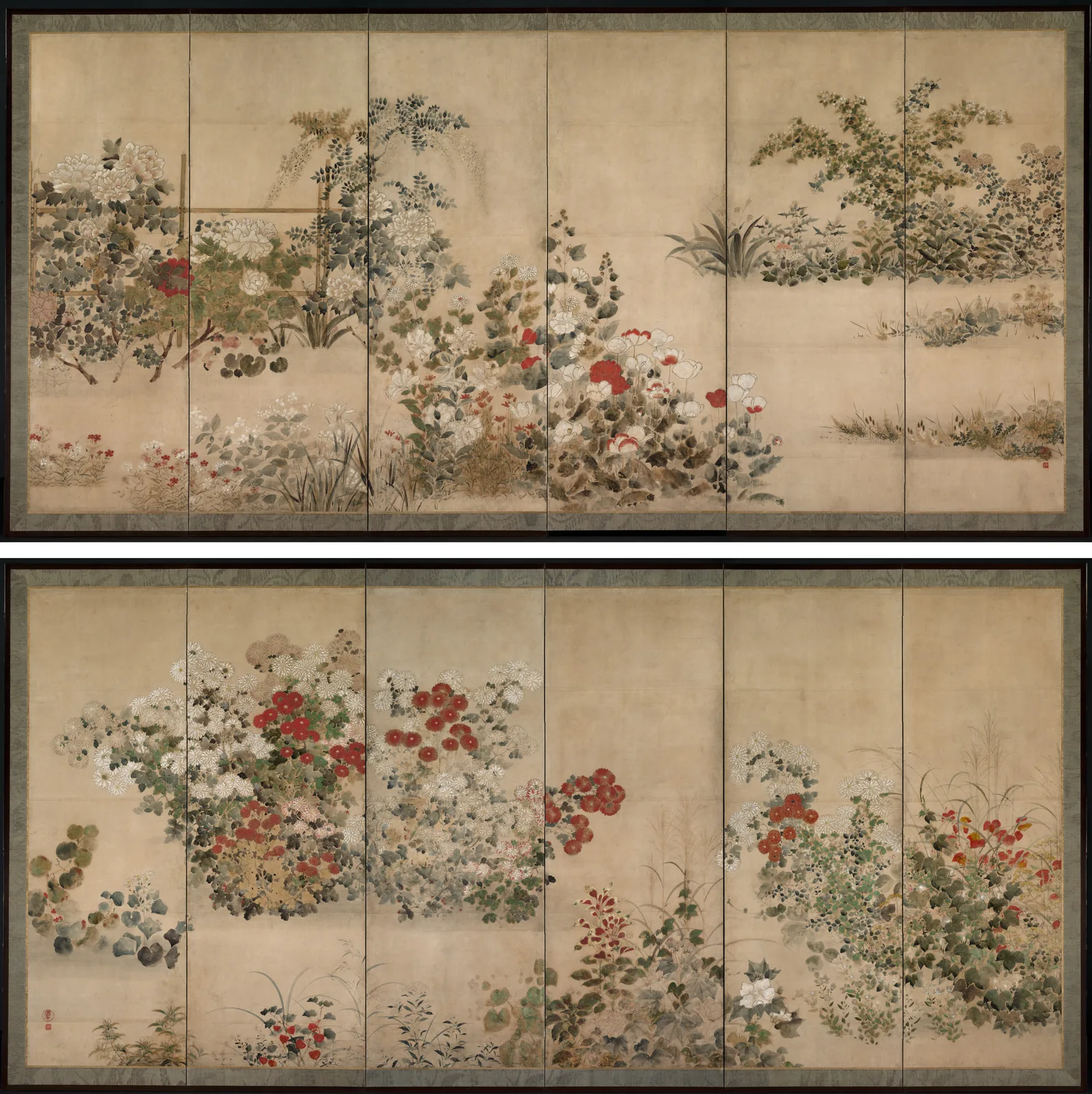 Flowers and Grasses