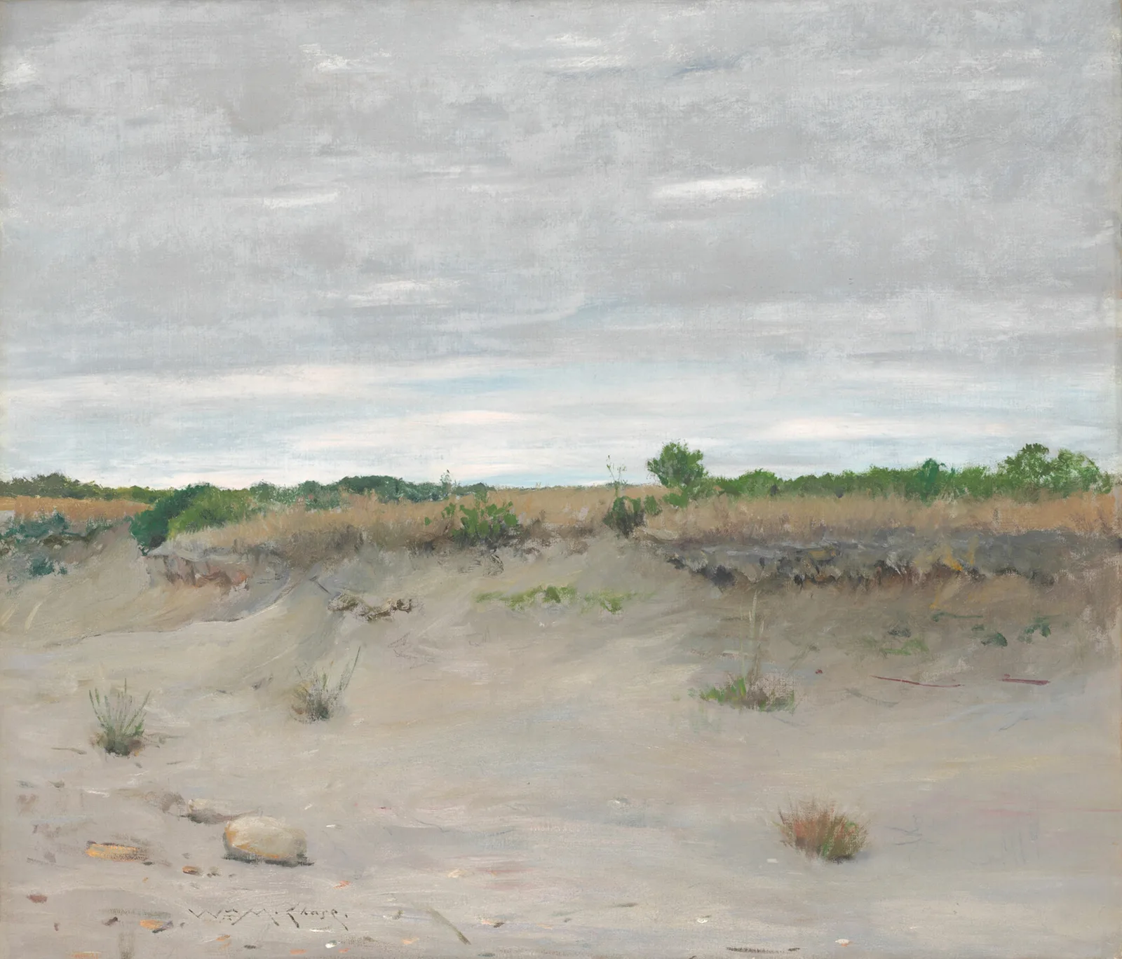 Wind-Swept Sands