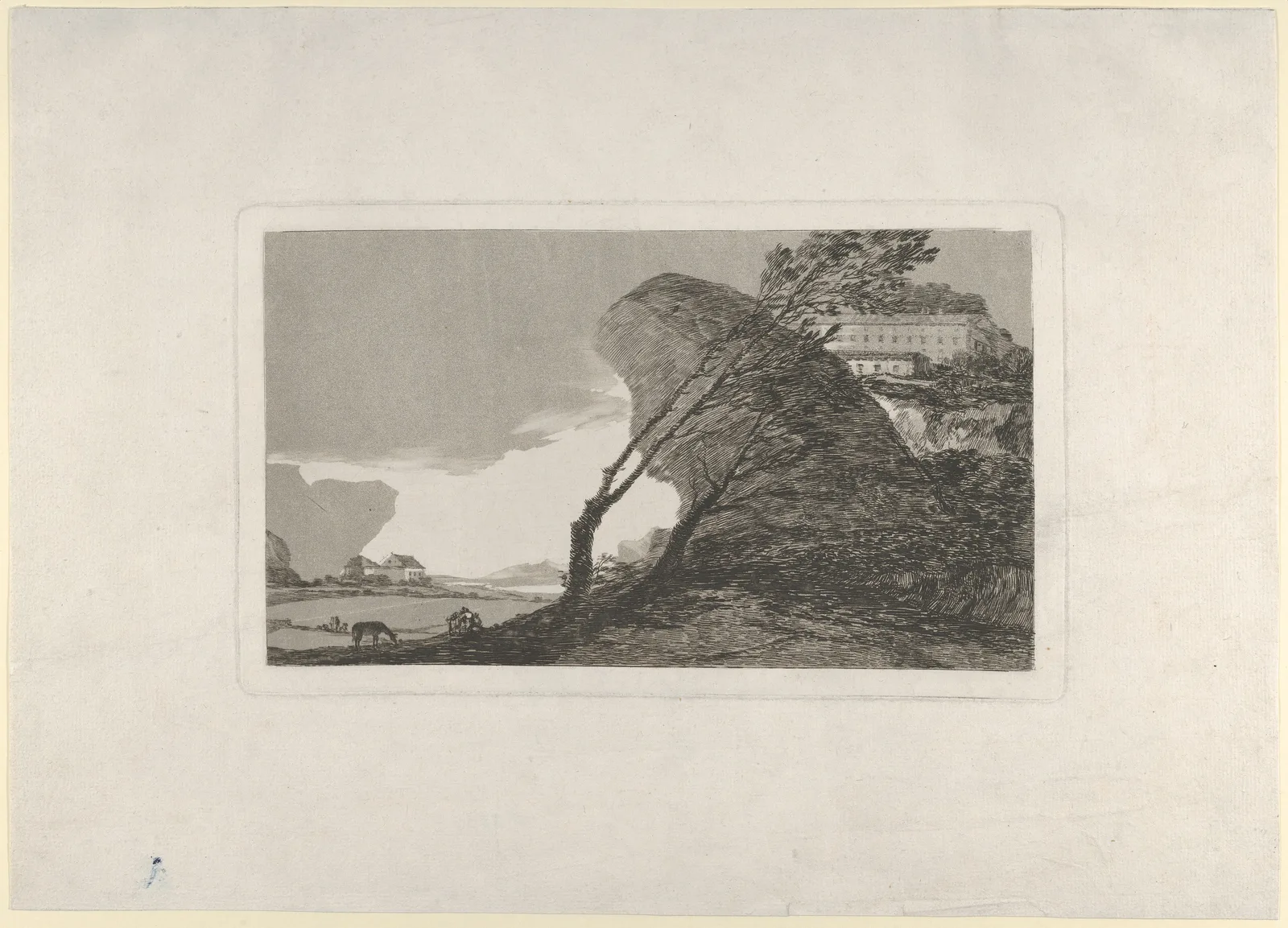 Landscape