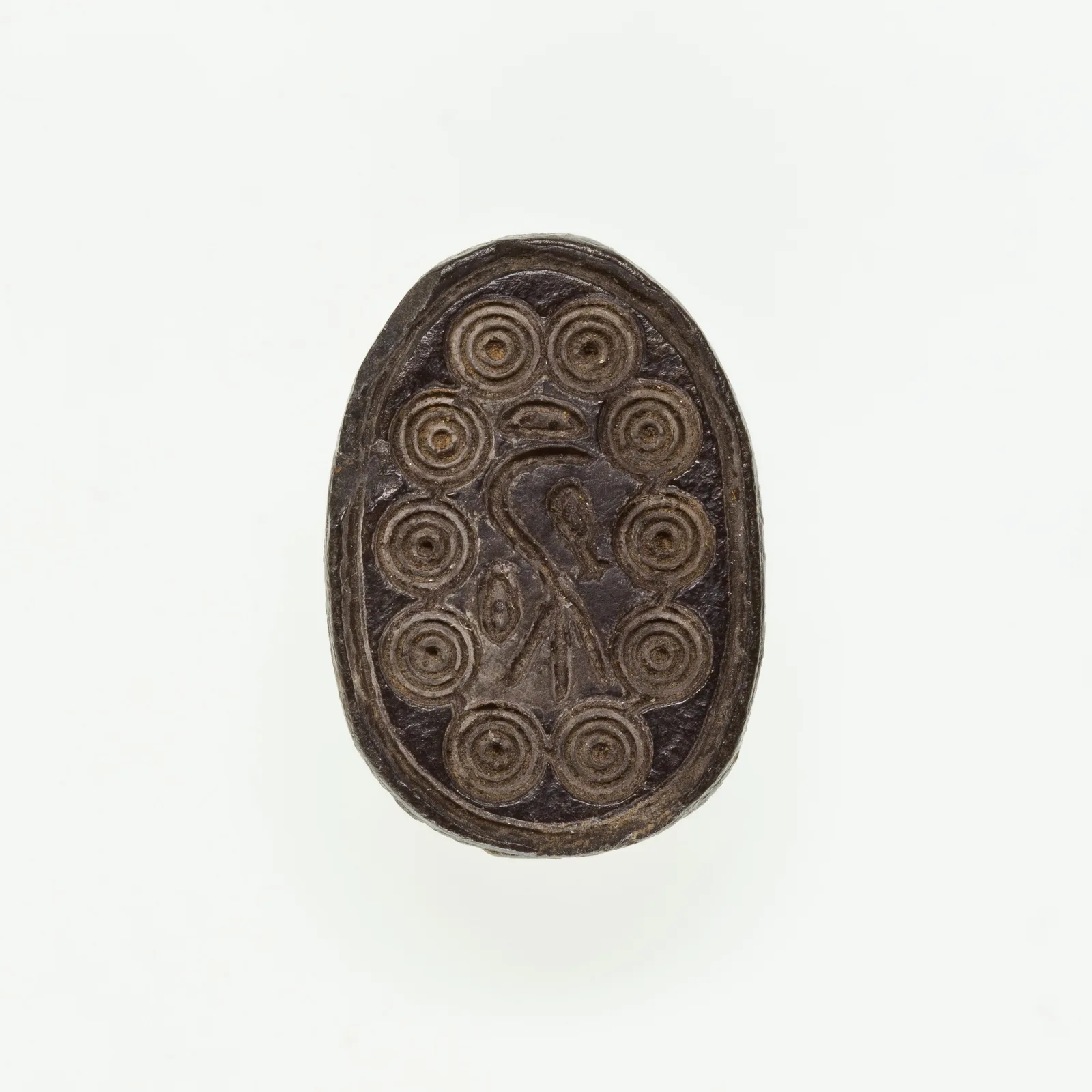 Scarab Incised with Hierolgyphs and Flower in Circle Border
