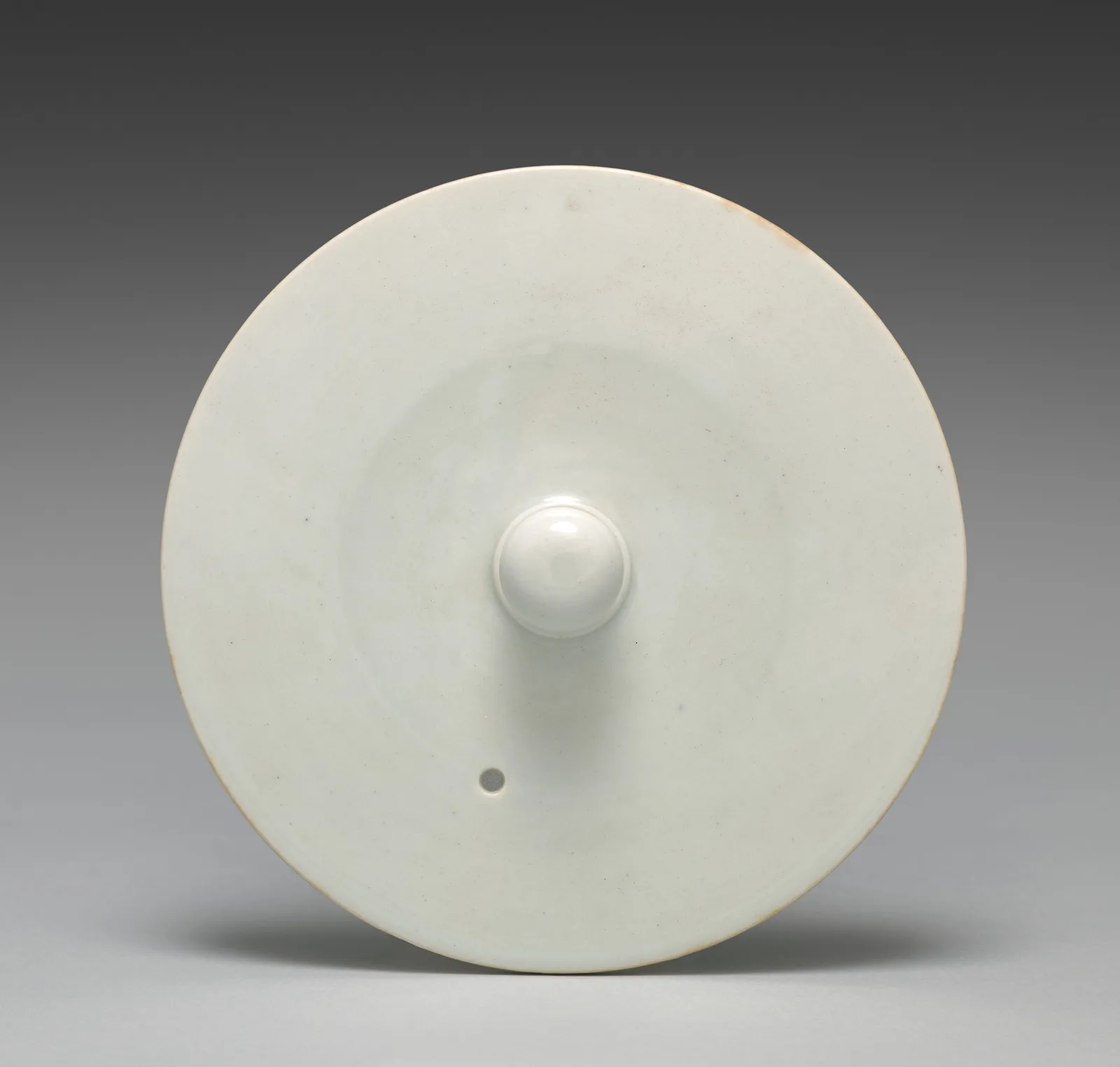 Lid for a Sake Pourer