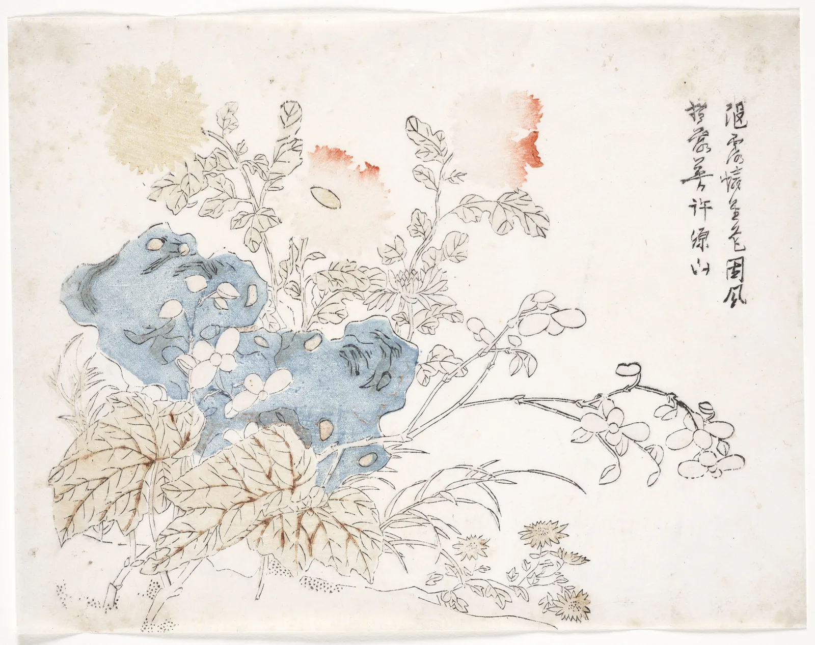 Chrysanthemum, Begonia, and Blue Asters