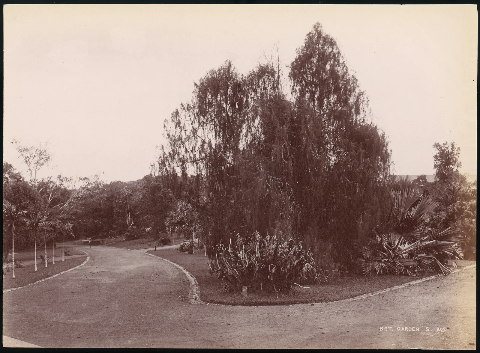 Botanical Garden