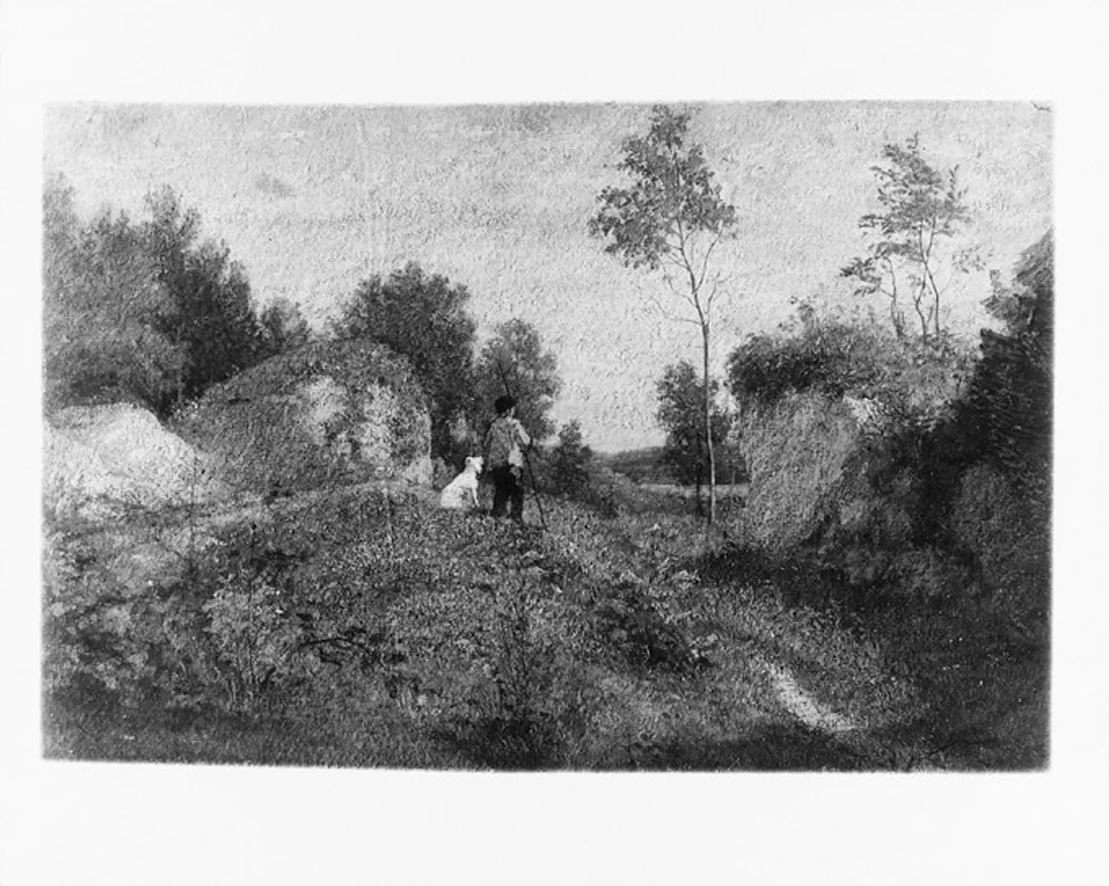 Landscape