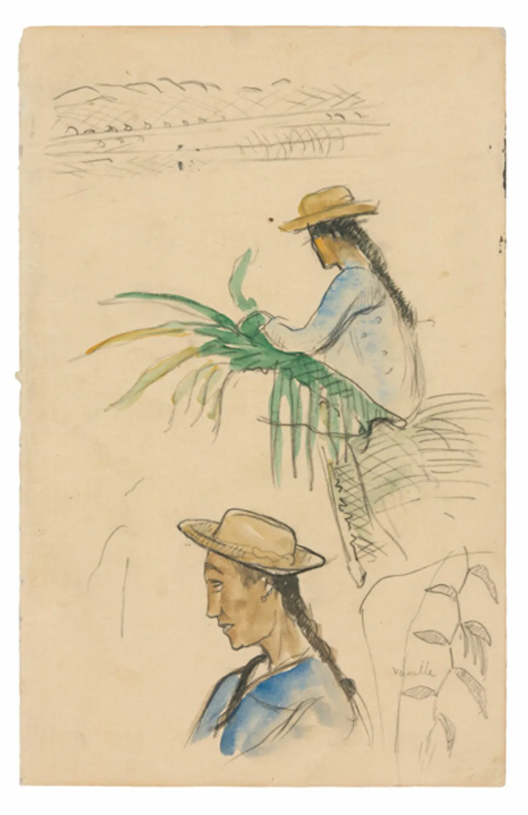 Sketches of Figures, Pandanus Leaf, and Vanilla Plant
