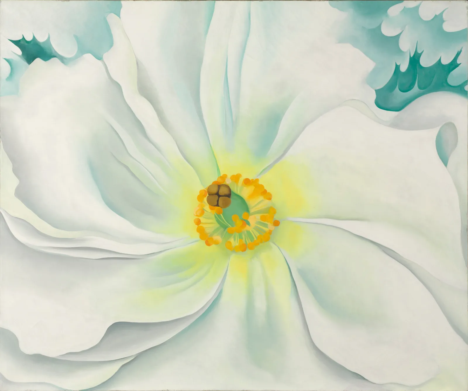 White Flower