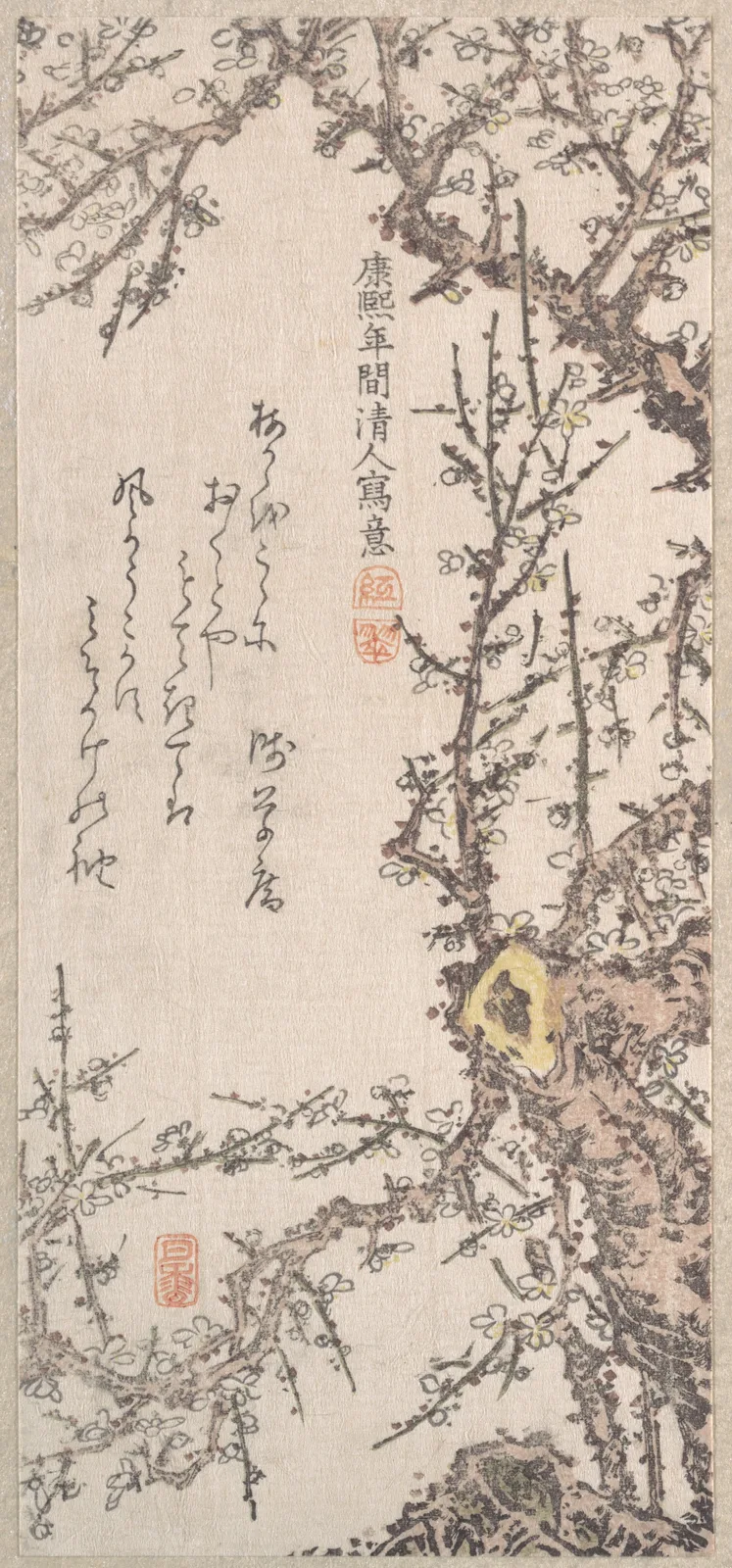 Plum Tree in Blossom