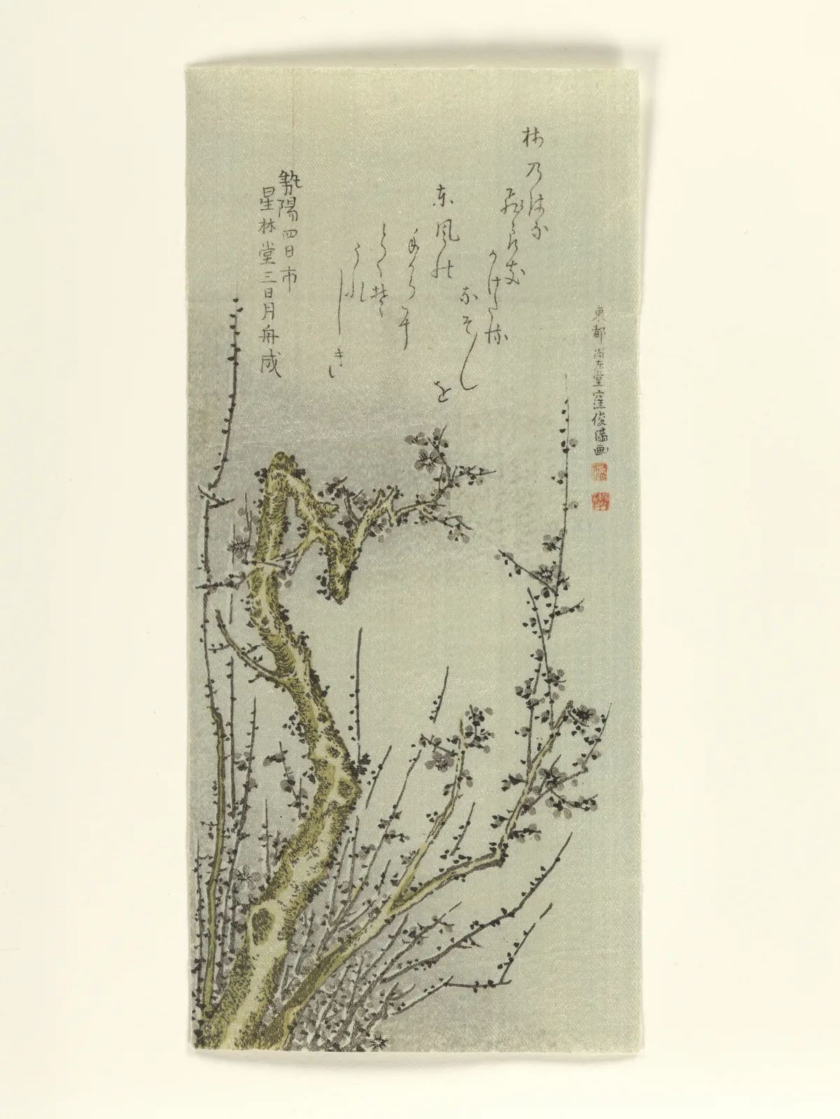 Old Plum Tree