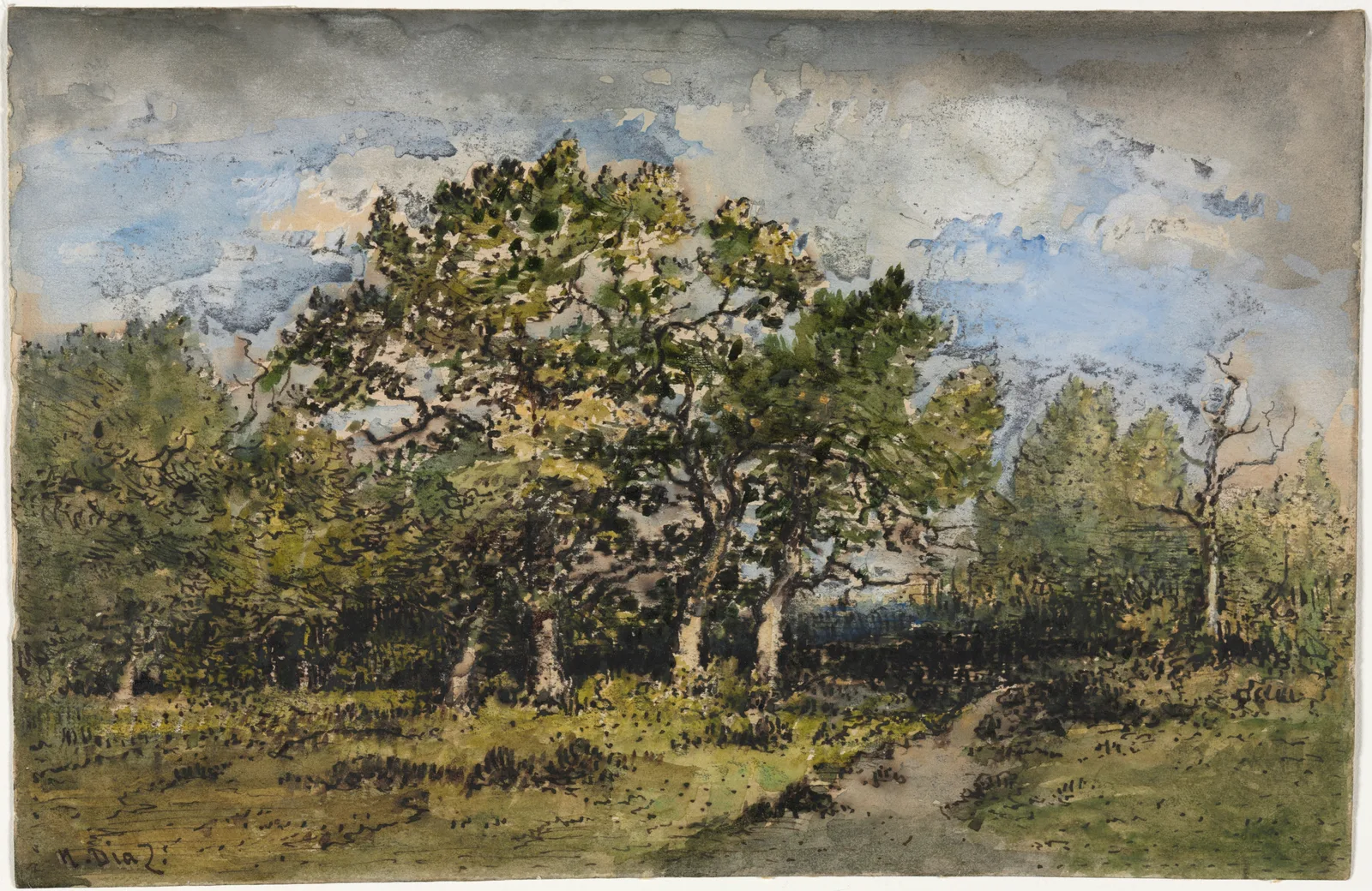 Landscape