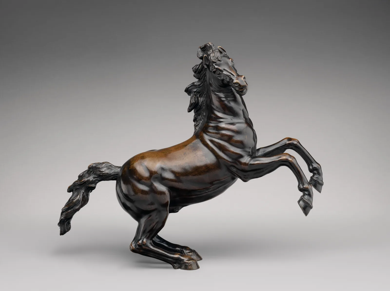 Rearing Horse