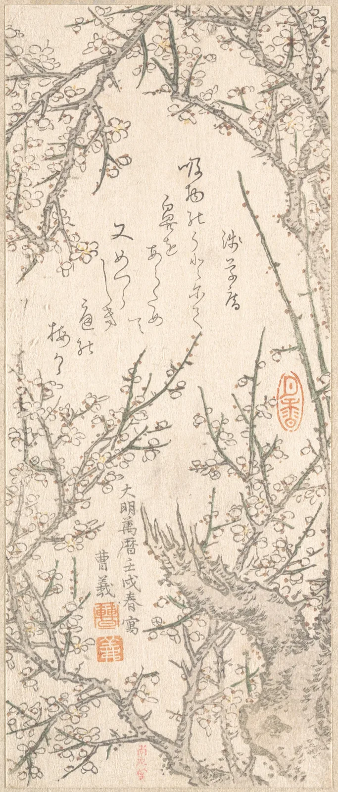 Plum Tree in Blossom