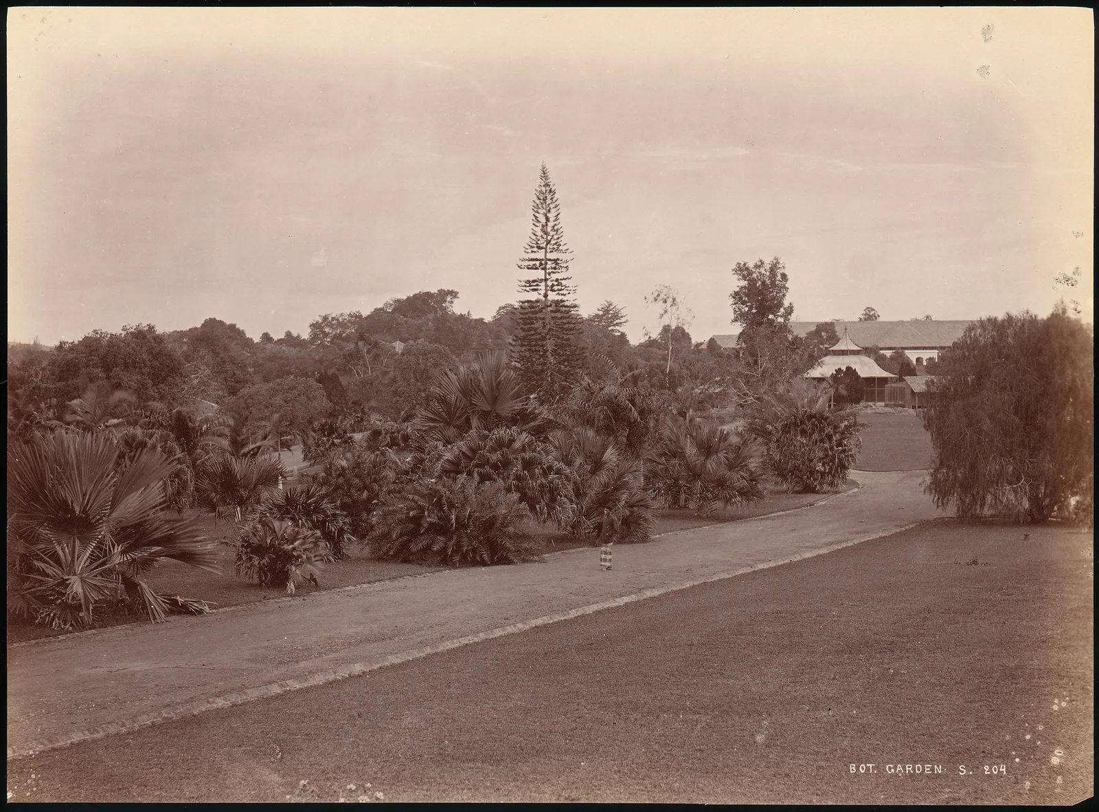 Botanical Garden