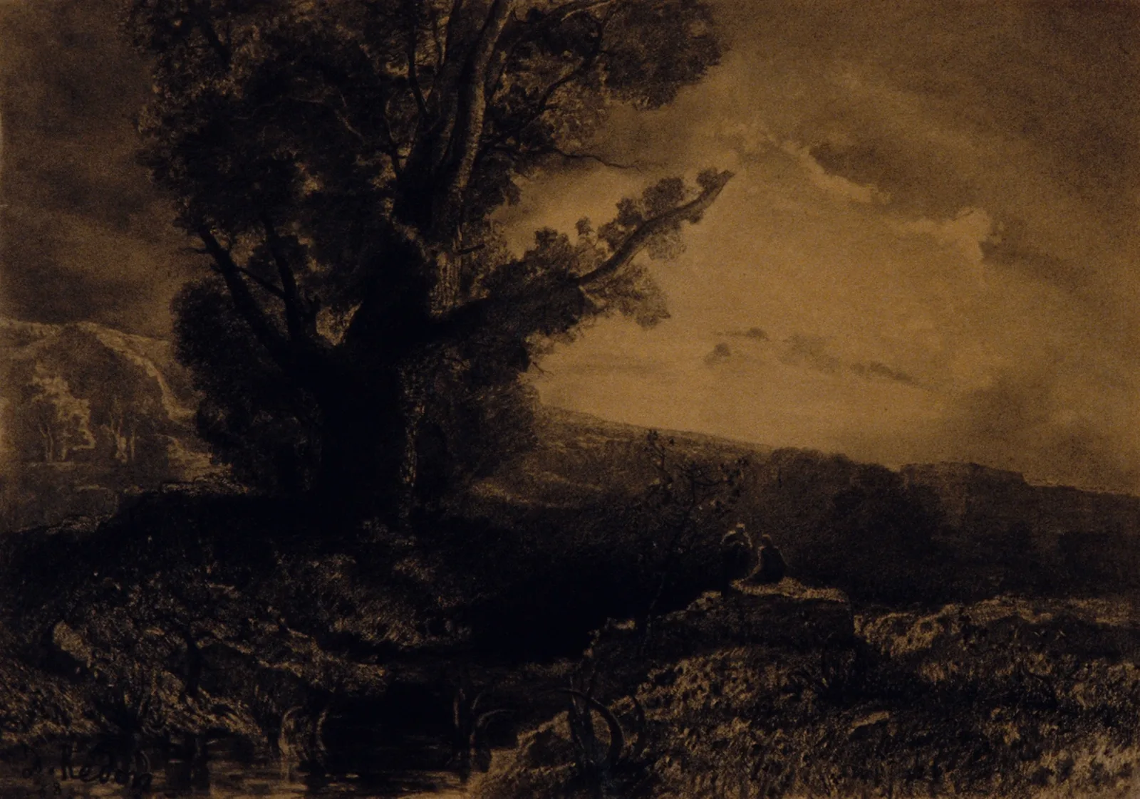 Landscape