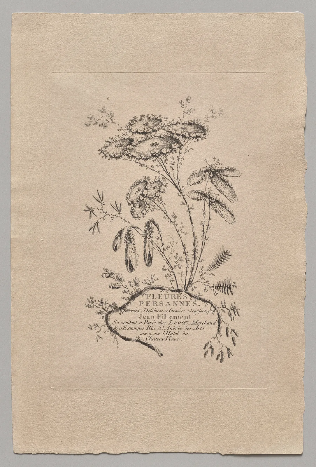 Persian Flowers