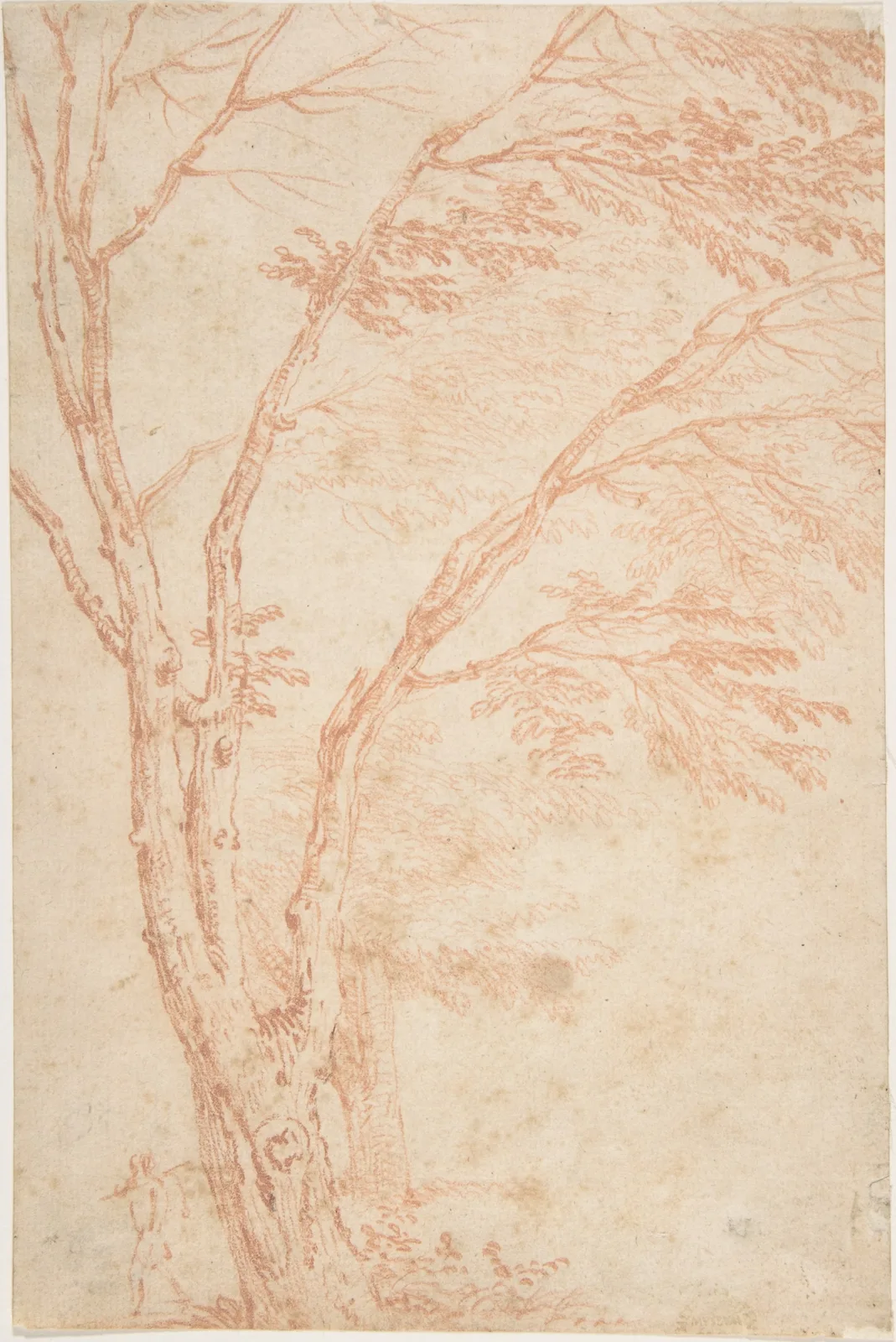 A tree and figure