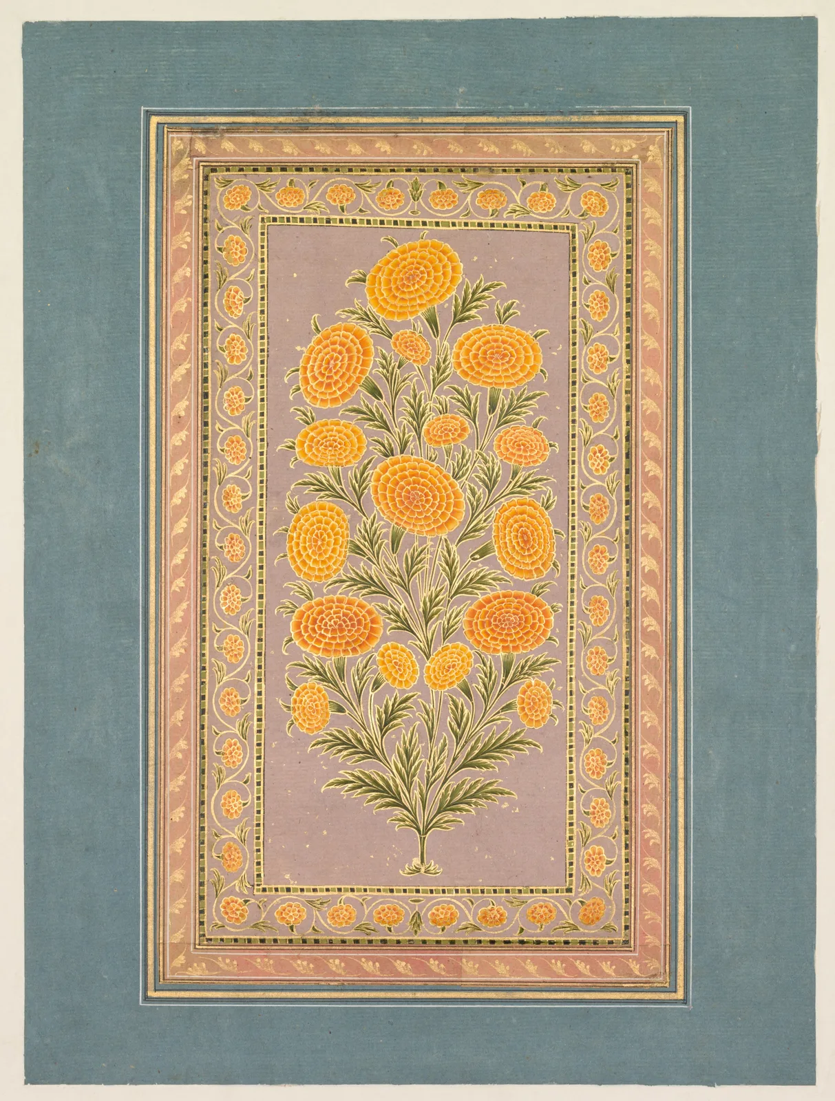 Flowering Marigold (verso)