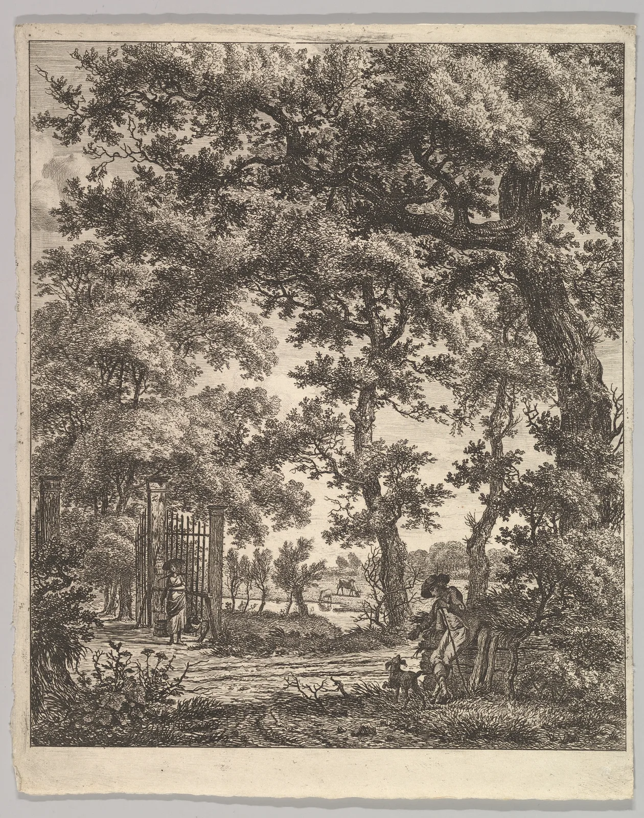 Landscape