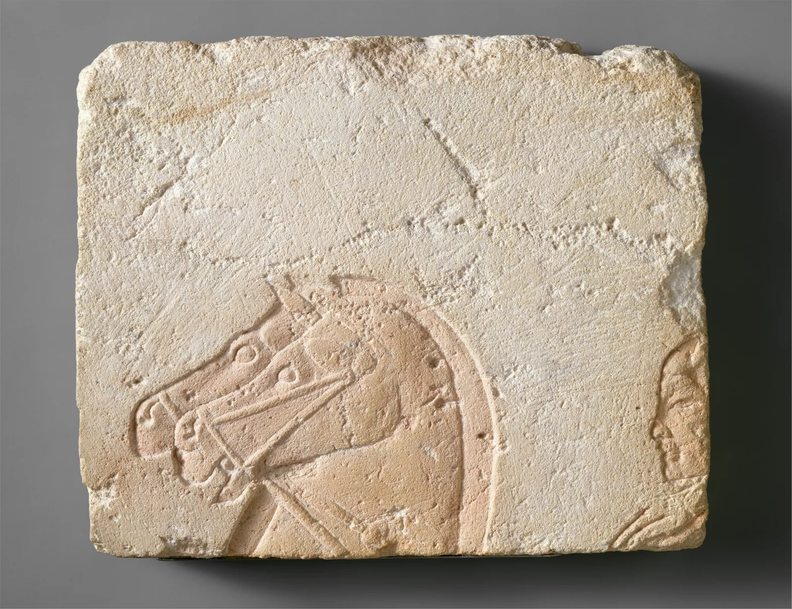 Heads of Two Horses and a Charioteer