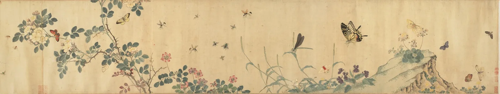 Flowers and Insects