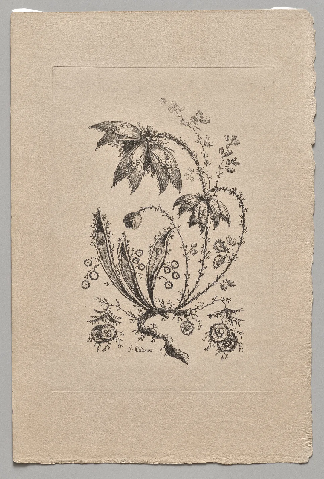 Persian Flowers