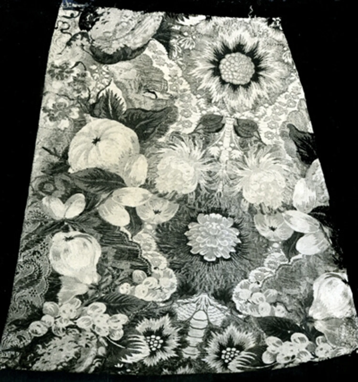 17 Fragments
