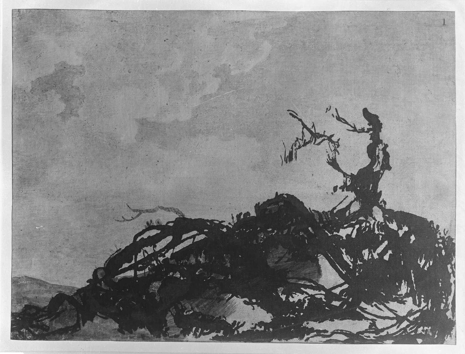 The Fallen Tree